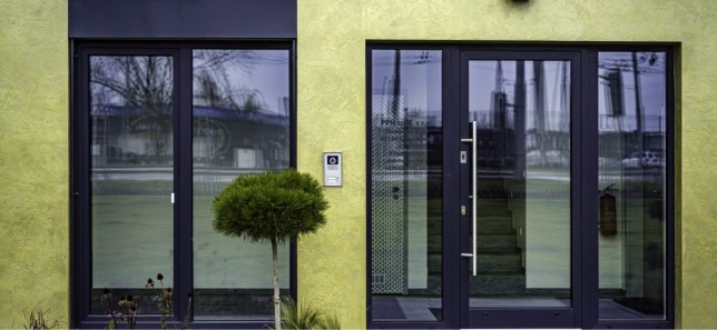 LOMAX Aluminium-Eingangstür AKTIV Beispiel 3