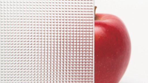 Verglasung – Crissette klar